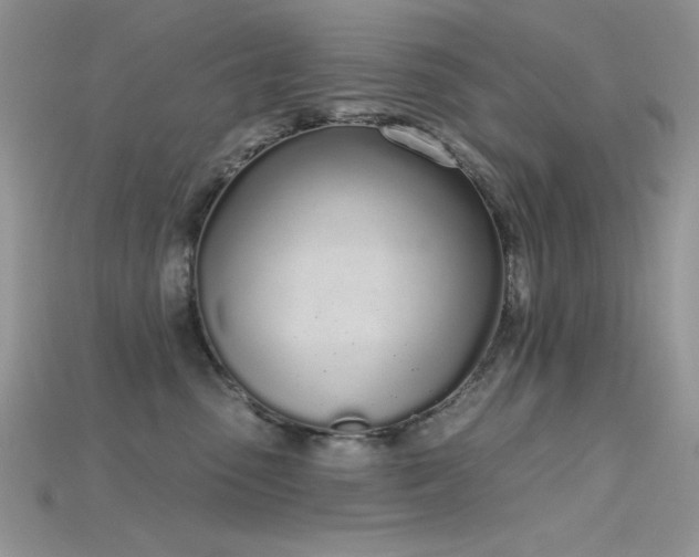 X0000115710475200911121429