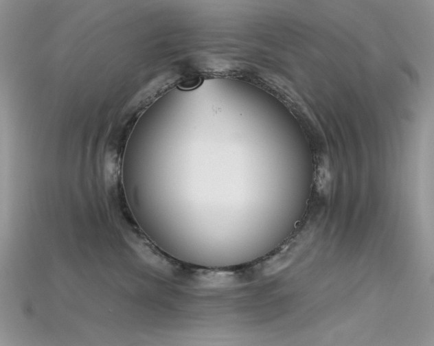 X0000115710476200911121429