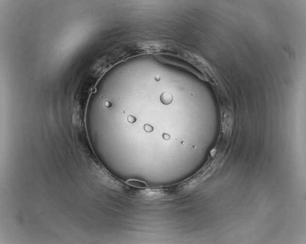 X0000115710477200911121429