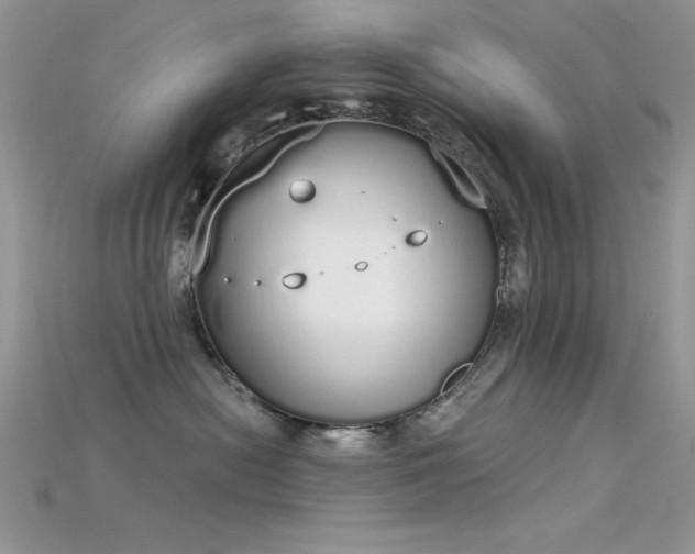 X0000115710478200911121429