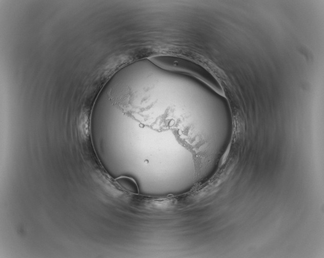 X0000115710479200911121429