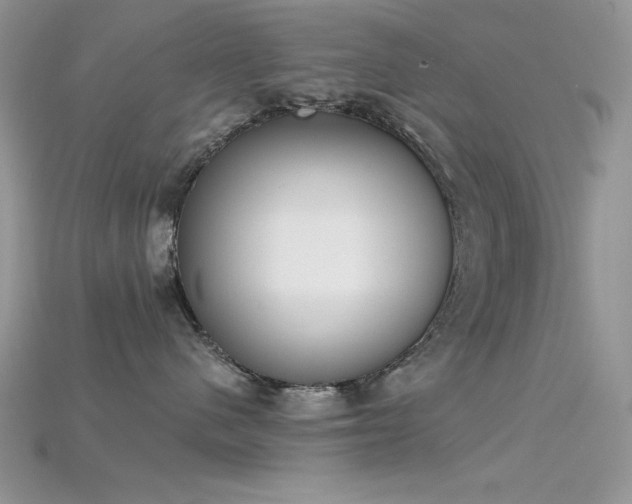 X0000115710480200911121429