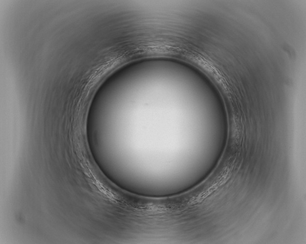 X0000115710481200911121429