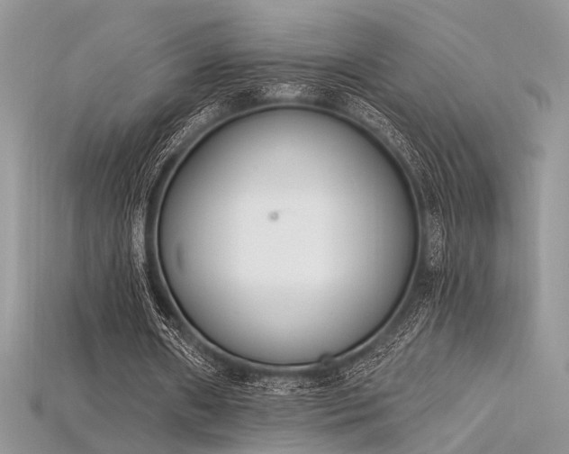 X0000115710482200911121429