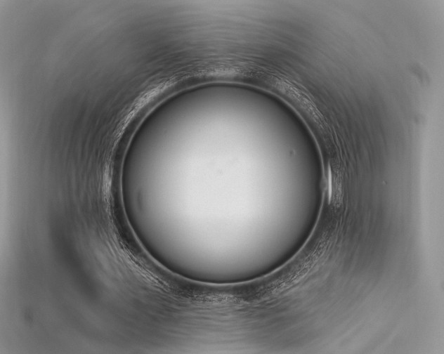 X0000115710483200911121429