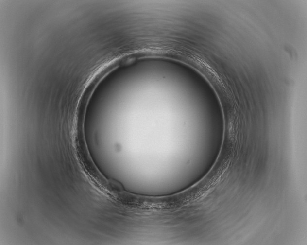 X0000115710484200911121429