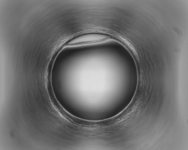 X0000115710485200911121429