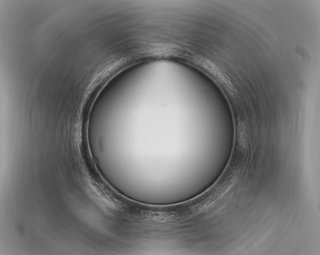 X0000115710486200911121429