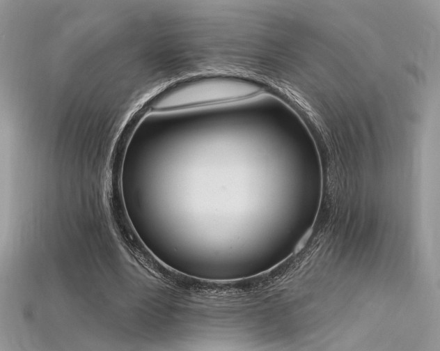 X0000115710488200911121429