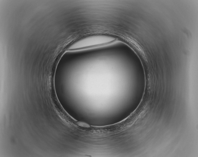 X0000115710489200911121429