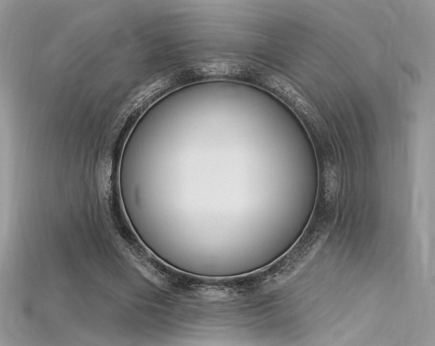 X0000115710490200911121429