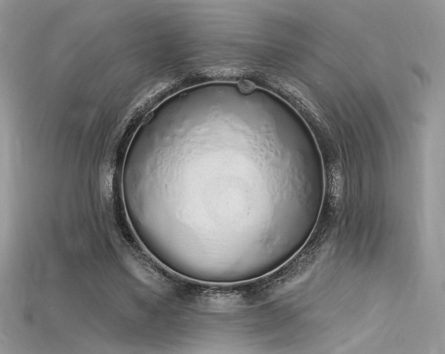 X0000115710491200911121429