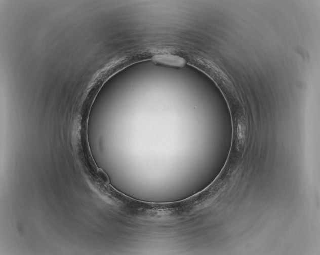 X0000115710492200911121429