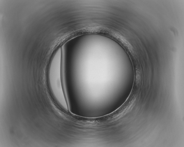 X0000115710493200911121428