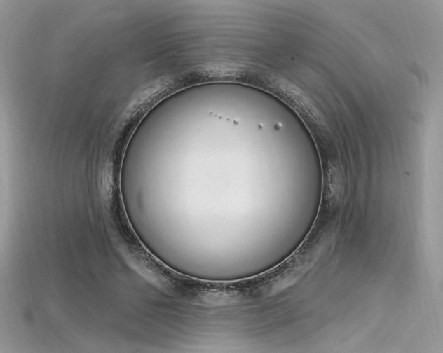 X0000115710494200911121428