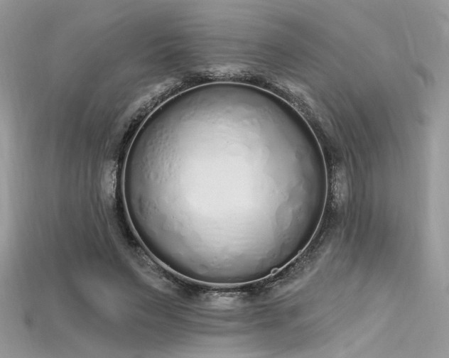 X0000115710495200911121428