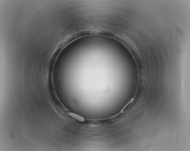 X0000115710496200911121428