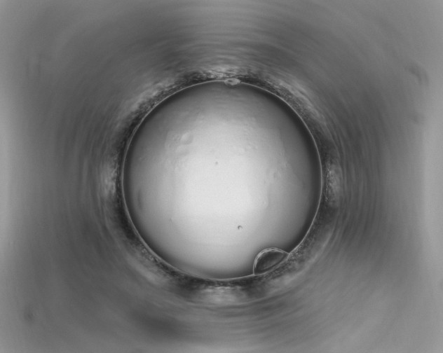 X0000115710499200911121428