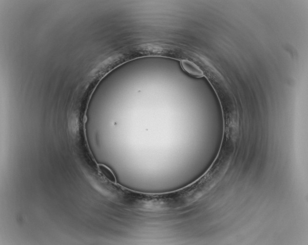 X0000115710500200911121428