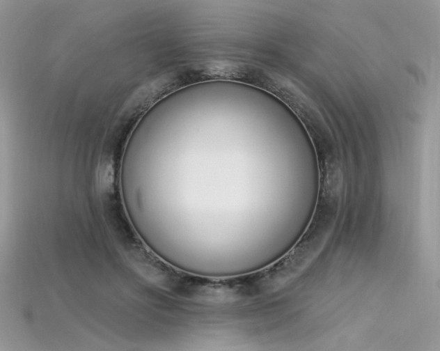 X0000115710502200911121428