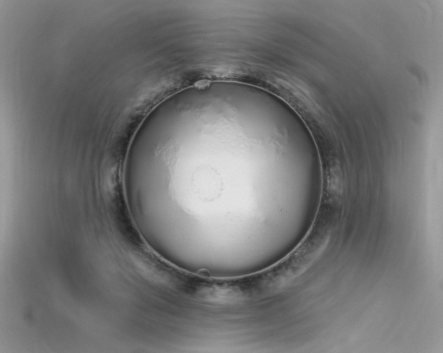 X0000115710503200911121428