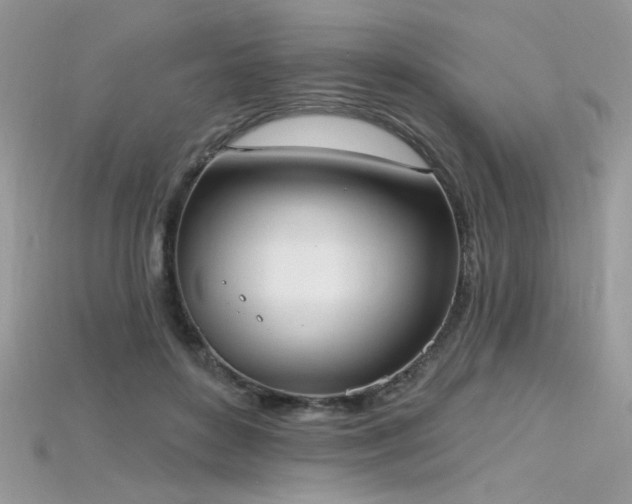 X0000115710504200911121428