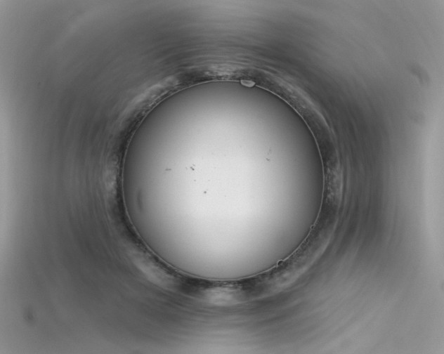 X0000115710505200911121428