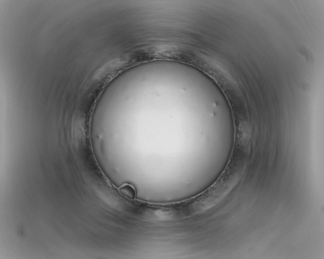 X0000115710506200911121428