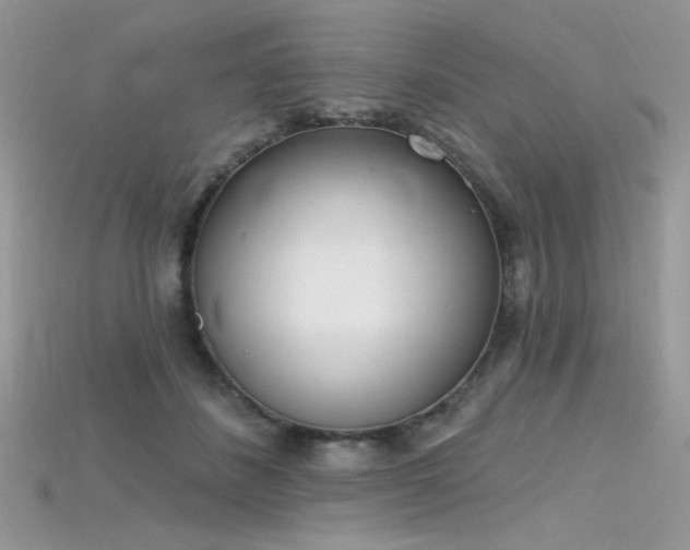 X0000115710508200911121428