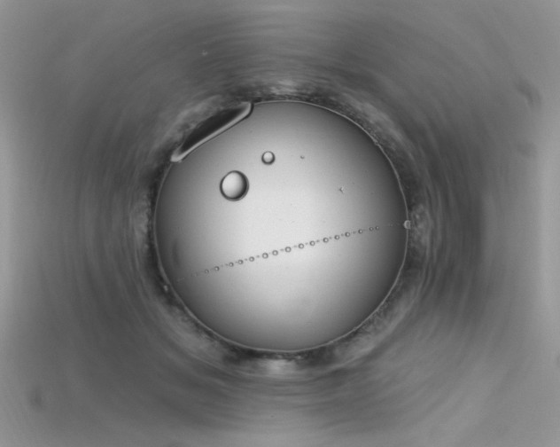 X0000115710509200911121428