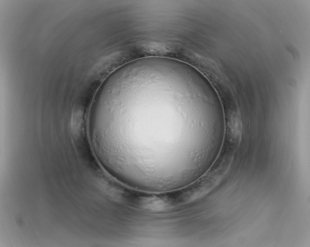 X0000115710511200911121428