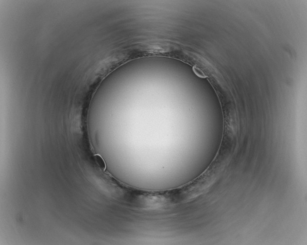 X0000115710512200911121428