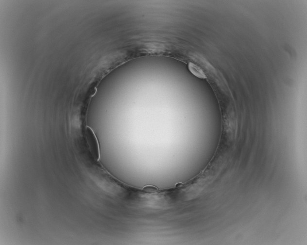 X0000115710516200911121428