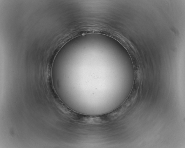 X0000115710517200911121428