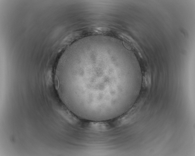 X0000115710520200911121428