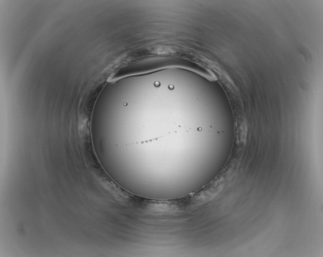 X0000115710521200911121428