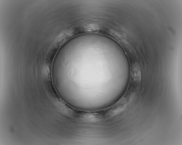 X0000115710523200911121428