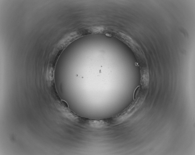 X0000115710525200911121428