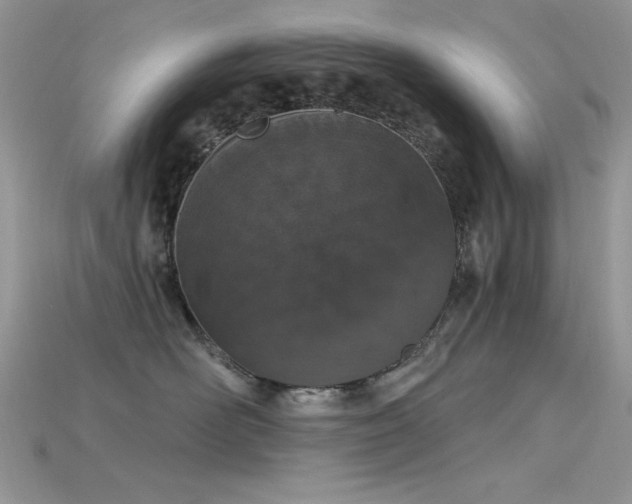 X0000115710526200911121428