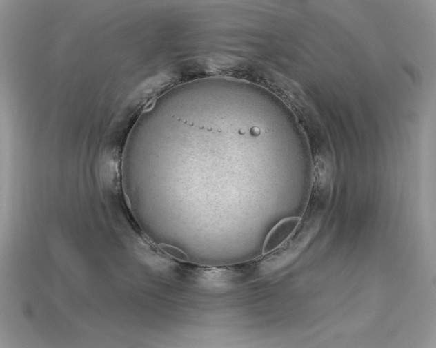 X0000115710527200911121428