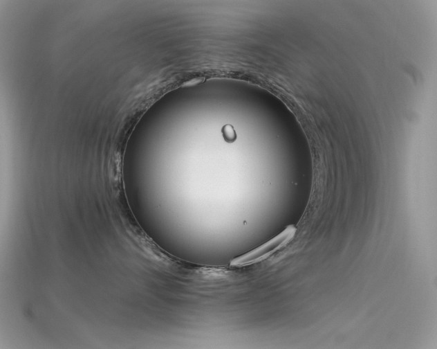 X0000115710528200911121428