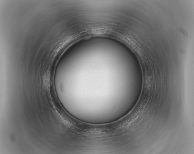 X0000115710530200911121427