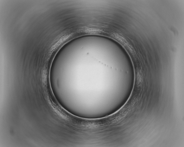 X0000115710533200911121427