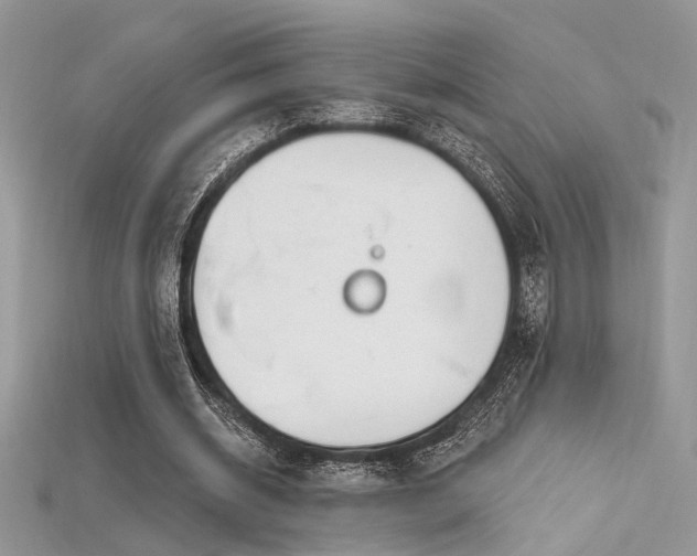 X0000115710534200911121427