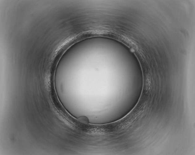 X0000115710535200911121428