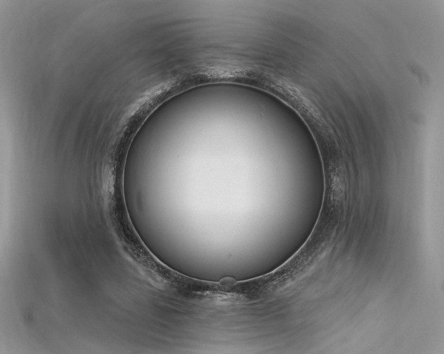 X0000115710539200911121428