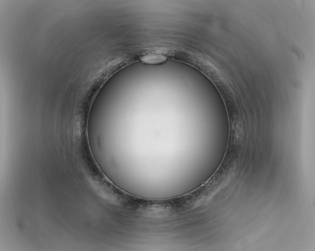 X0000115710546200911121428