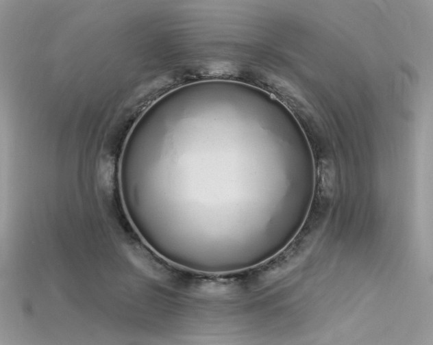 X0000115710550200911121428