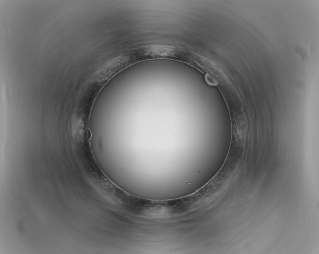 X0000115710551200911121428