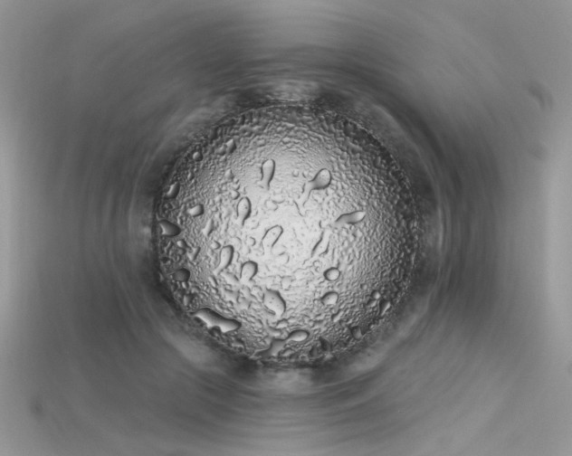 X0000115710553200911121428